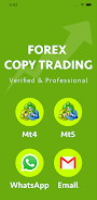 Schermata Forex copy trading Forex Auto 0