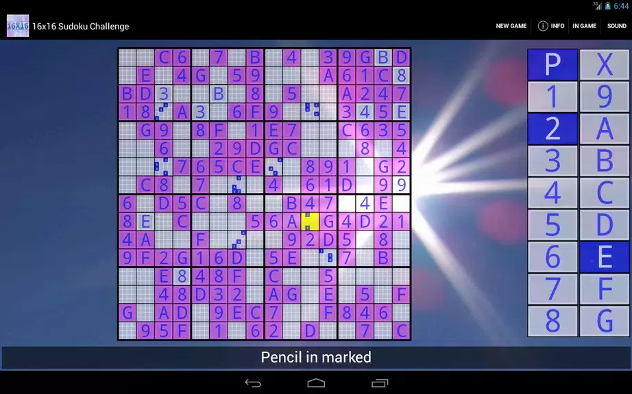 16x16 Sudoku Challenge HD স্ক্রিনশট 2