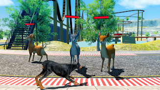 Doberman Dog Simulator ဖန်သားပြင်ဓာတ်ပုံ 1