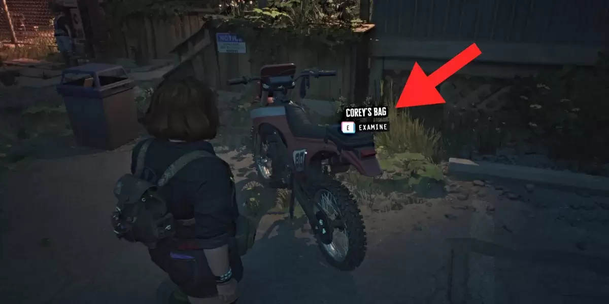 La borsa per biciclette di Corey in Lost Records Bloom and Rage
