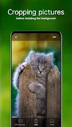 Kitten Wallpapers 4K स्क्रीनशॉट 3