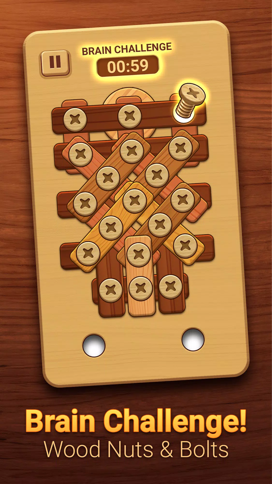 Woodle - Wood Screw Puzzle Captura de pantalla 2