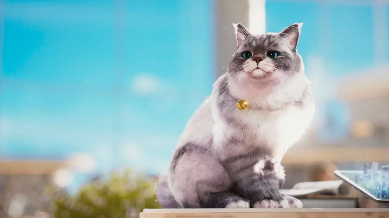 https://img.cicicar.com/uploads/16/174221284767d80eef5495b.jpg