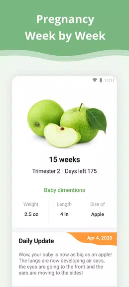 Pregnancy App Ekran Görüntüsü 0