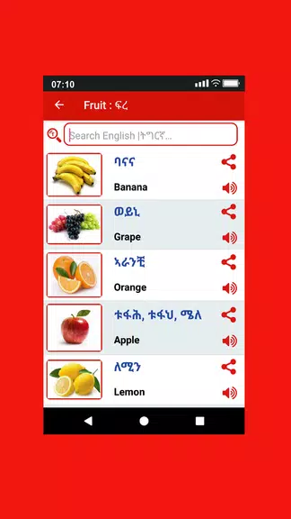 Tigrinya Word Book Screenshot 3