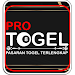 Pro Togel