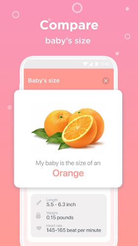 Pregnancy Tracker & Baby Guide Ảnh chụp màn hình 2