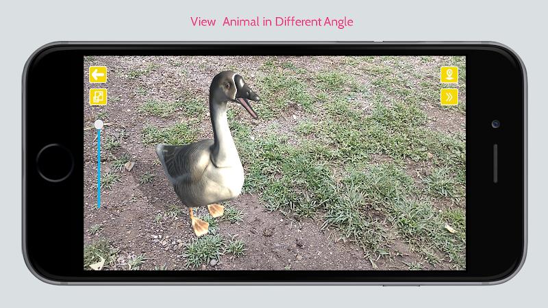 Animal in Ar Screenshot 2