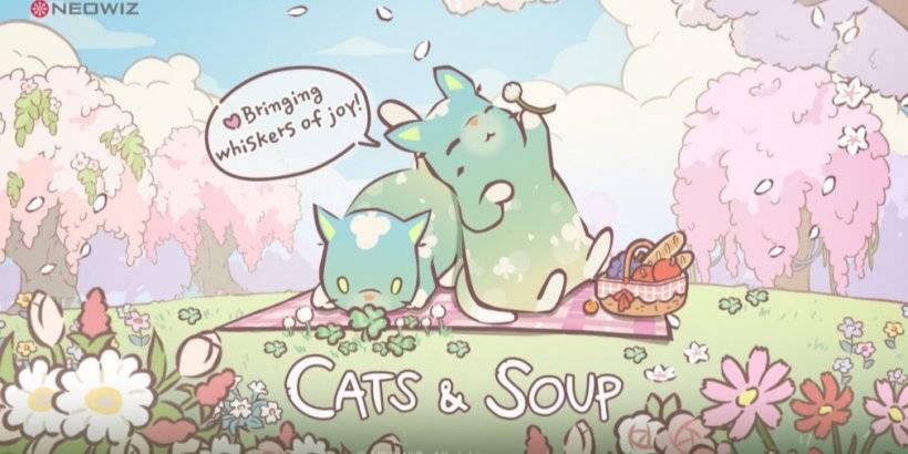 Cats & Soup Blooms с обновлением вишневого цвета