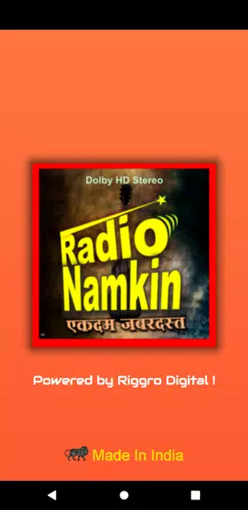 Schermata Radio Namkeen- FM Radio Online 0