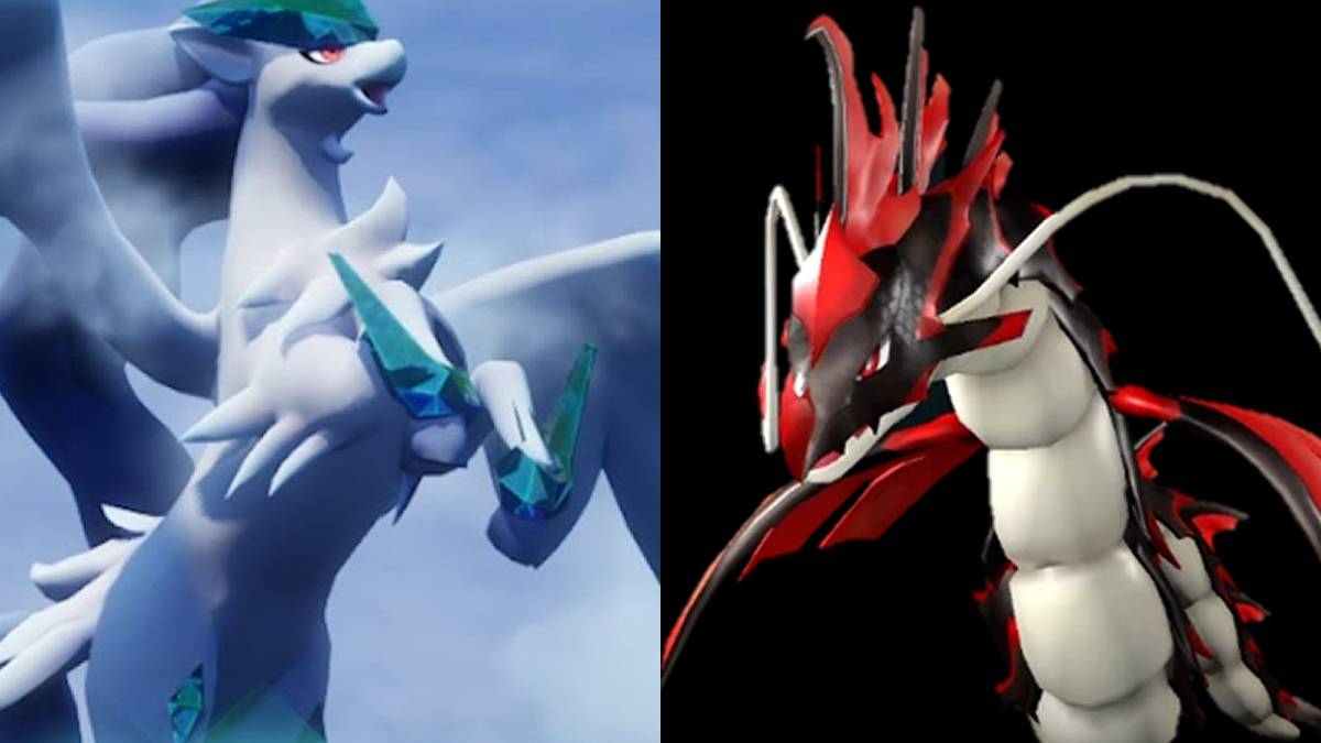 Палсы B ранга