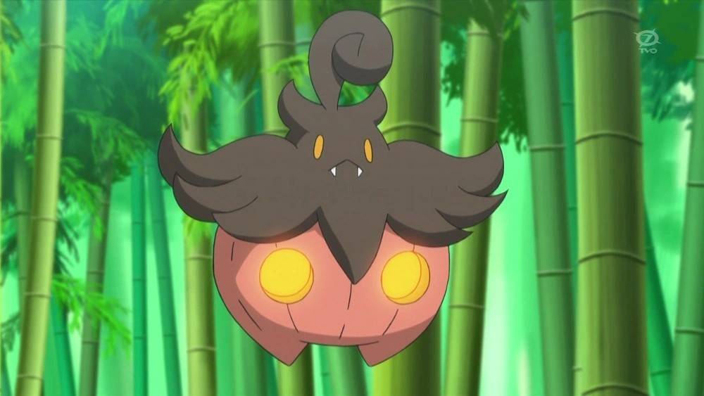 Pumpkaboo