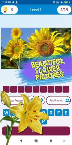 Guess the flower应用截图第3张