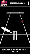 Blind Cricket Ảnh chụp màn hình 2