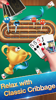 Cribbage - Card Game Schermafbeelding 1