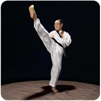 Taekwondo Basic Motions