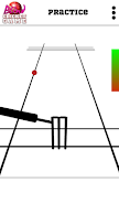 Blind Cricket Ảnh chụp màn hình 1