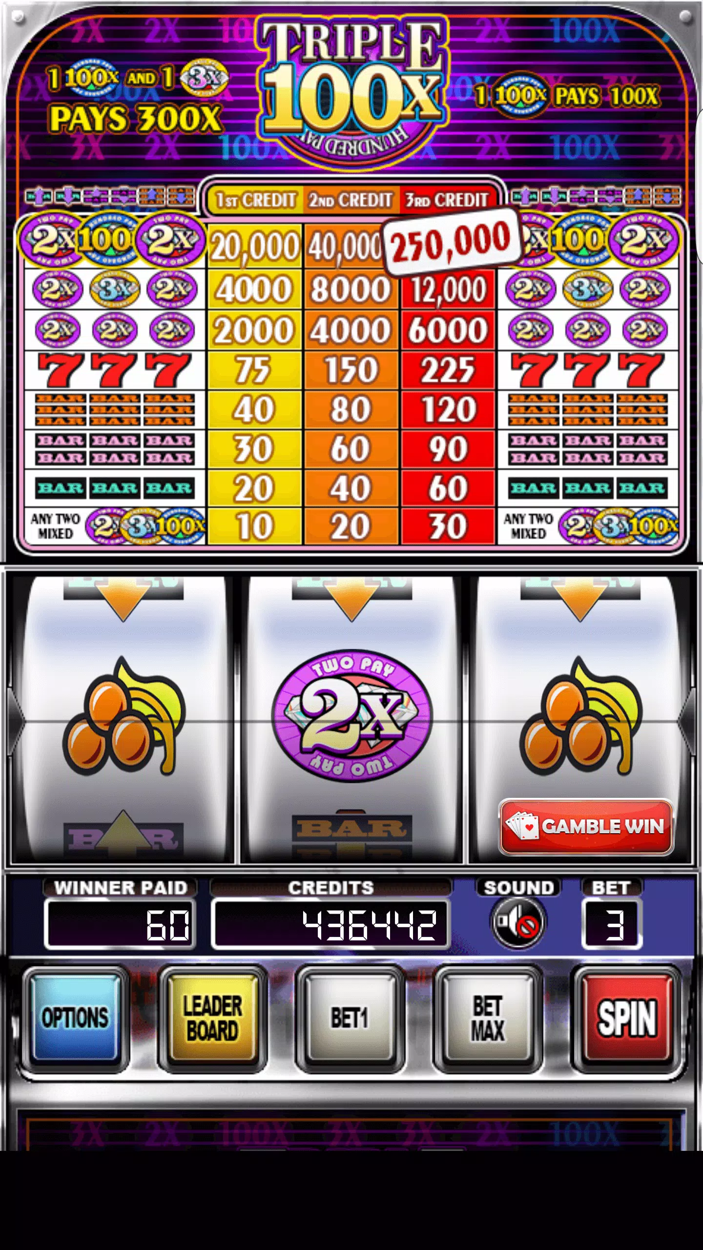 Double Wild Slots Tangkapan skrin 1