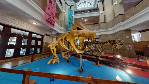 Bảo tàng Fossil Pokémon để hiển thị hóa thạch thực và giả ở Mỹ vào năm tới
