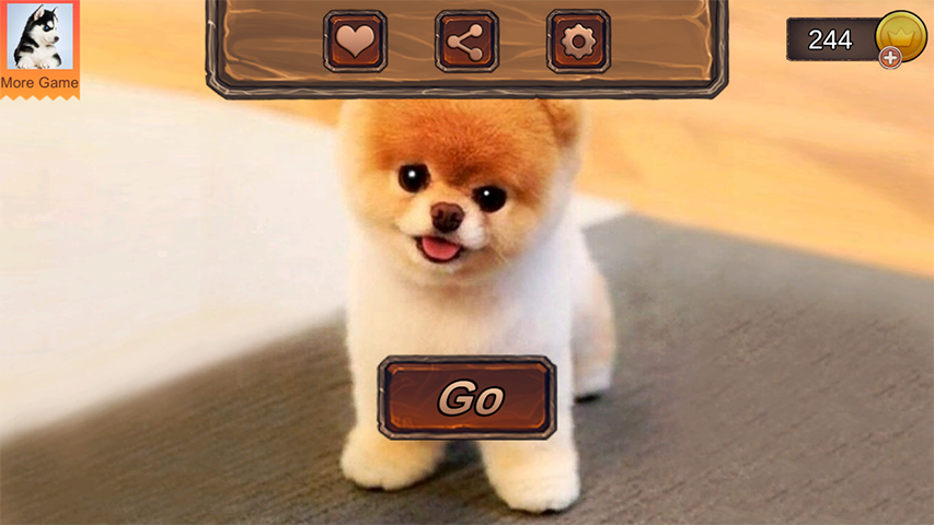 Pomeranian Dog Simulator スクリーンショット 0