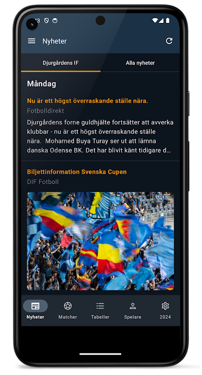 Allsvenskan 2024 Ảnh chụp màn hình 0