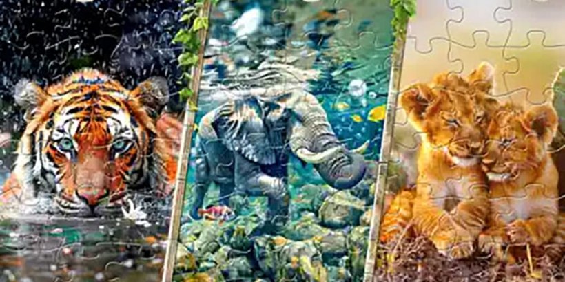 Side by side images of a tiger in a river, a swimming elephant, and two snuggling lion cubs puzzles