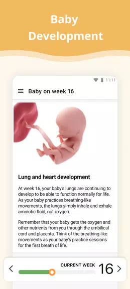 Pregnancy App Ekran Görüntüsü 1