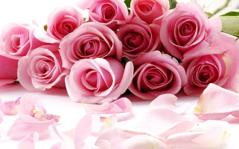 Roses Jigsaw Puzzles Screenshot 2