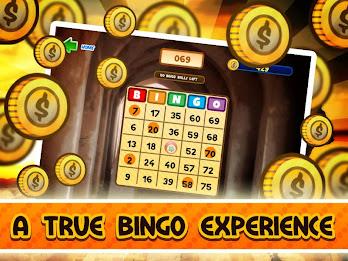 Big Win Casino Bingo Jackpot M Screenshot 2