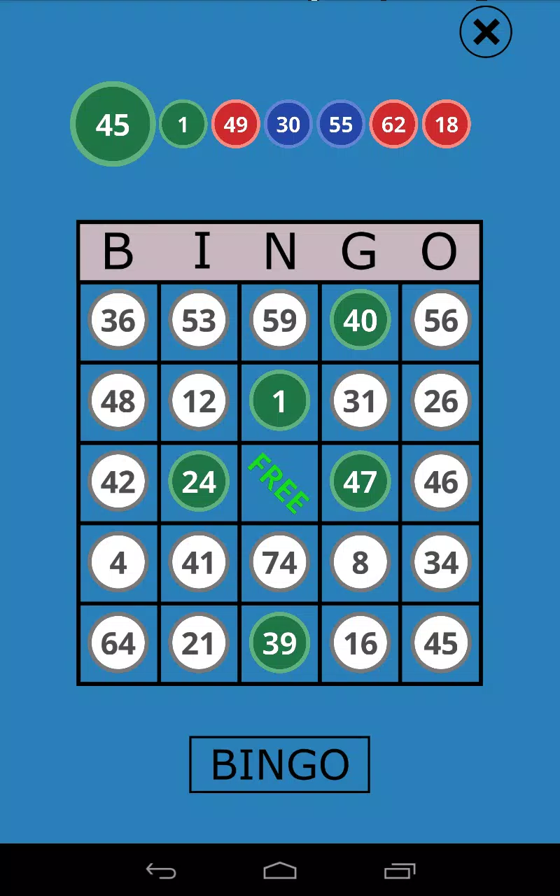 Classic Bingo Touch Screenshot 3