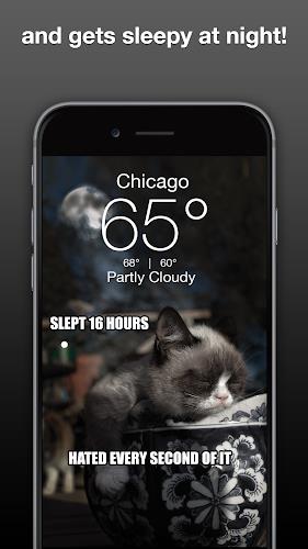 Grumpy Cat Weather Screenshot 2