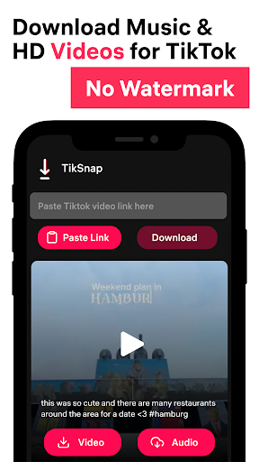 Schermata TikSnap: Downloader for TikTok 0