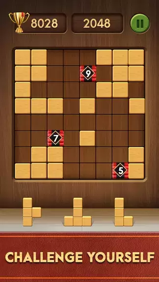 Block Puzzle Magic应用截图第0张