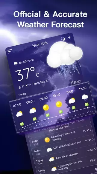 Live Weather Forecast Скриншот 3