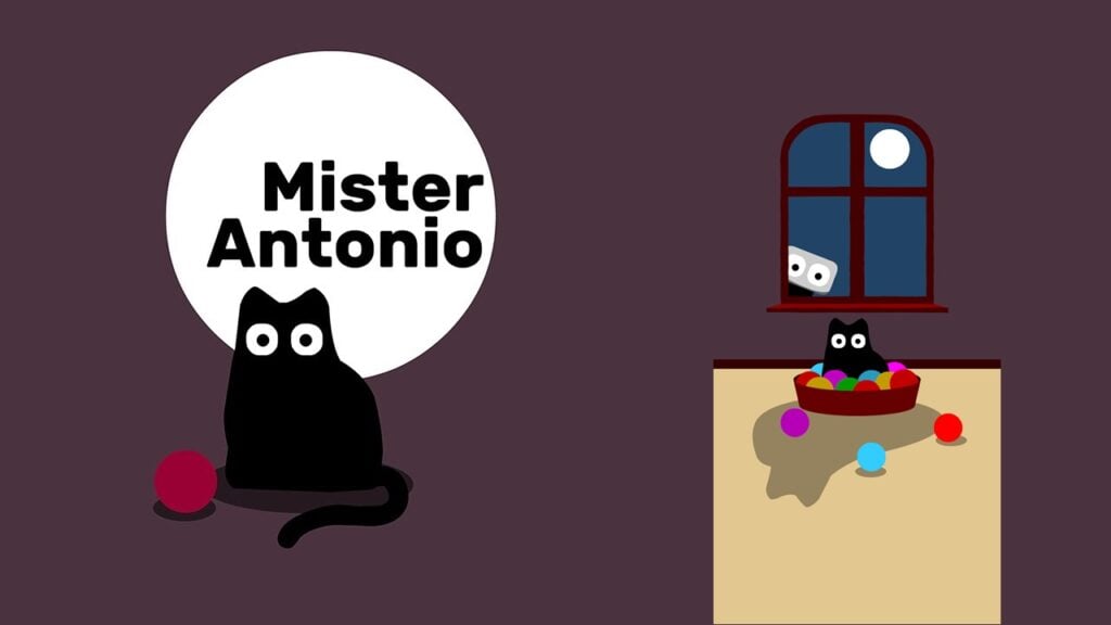 Permainan teka -teki baru: Mister Antonio Cat Fetch Challenge